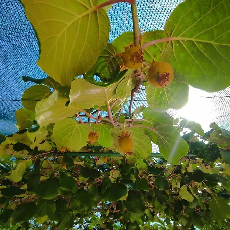 Istriamazing Appartamento Pola