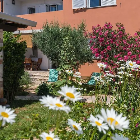 Istriamazing Apartamento