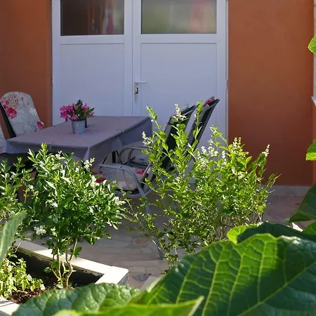 Istriamazing * بولا